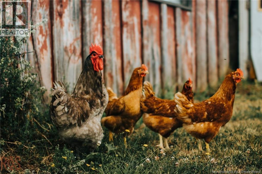 566 West Galloway Road, Galloway, New Brunswick  E4W 2P9 - Photo 36 - NB124342