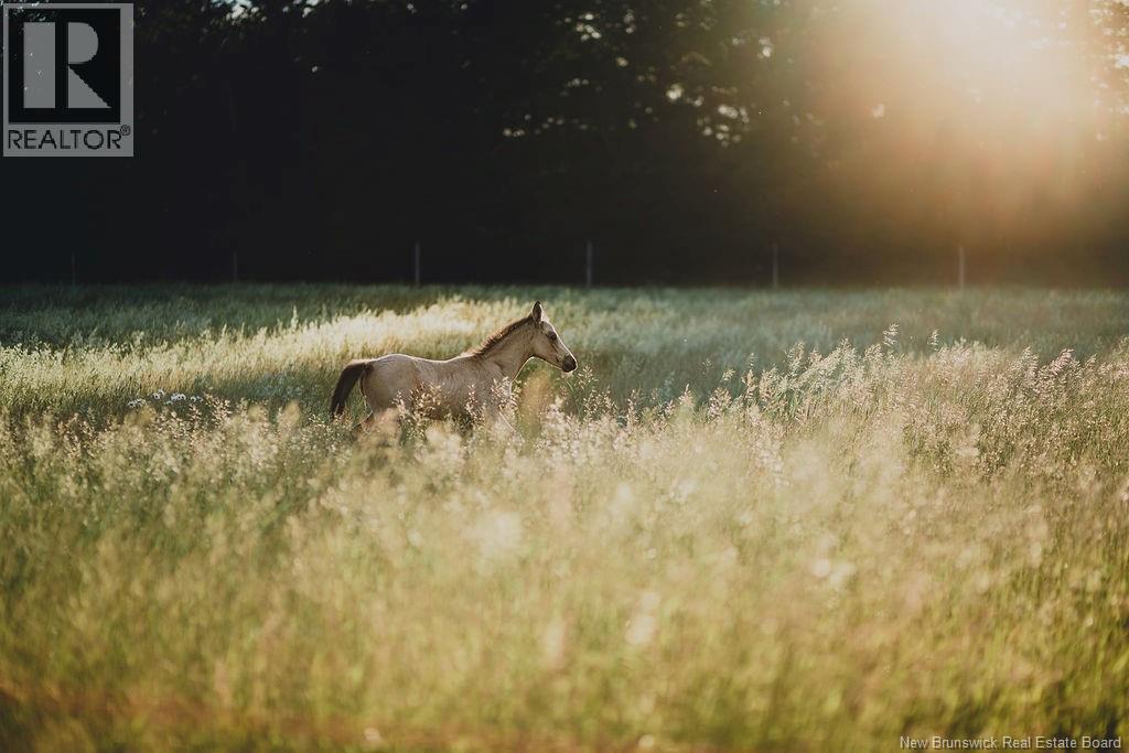 566 West Galloway Road, Galloway, New Brunswick  E4W 2P9 - Photo 38 - NB124342