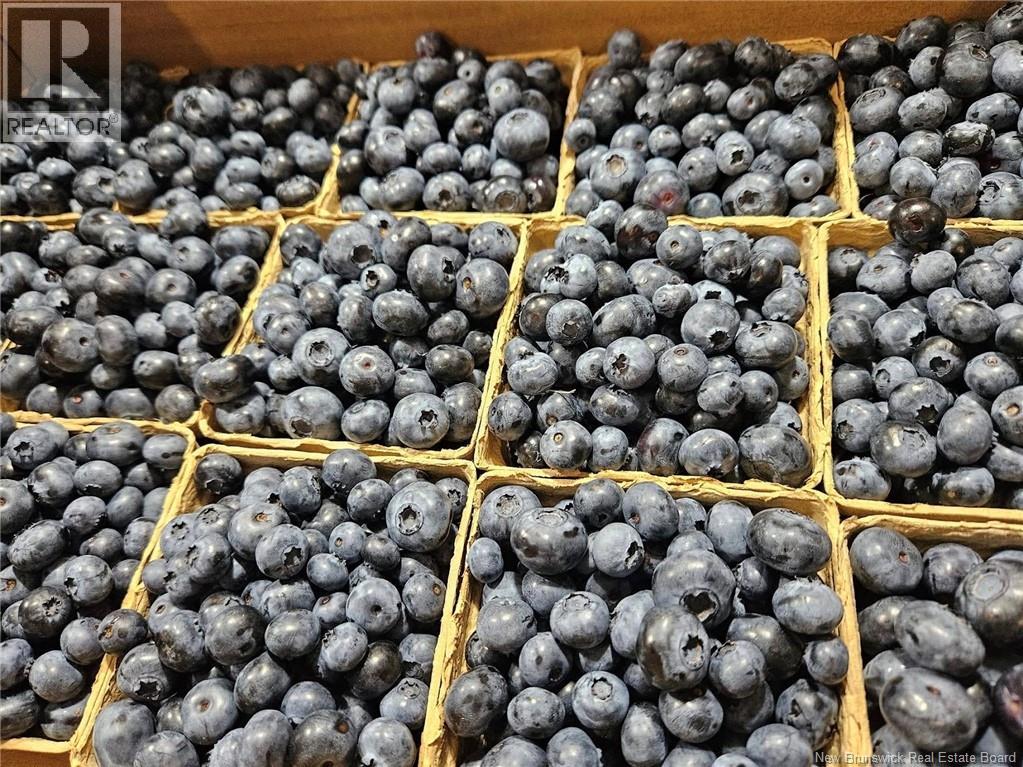 566 West Galloway Road, Galloway, New Brunswick  E4W 2P9 - Photo 40 - NB124342