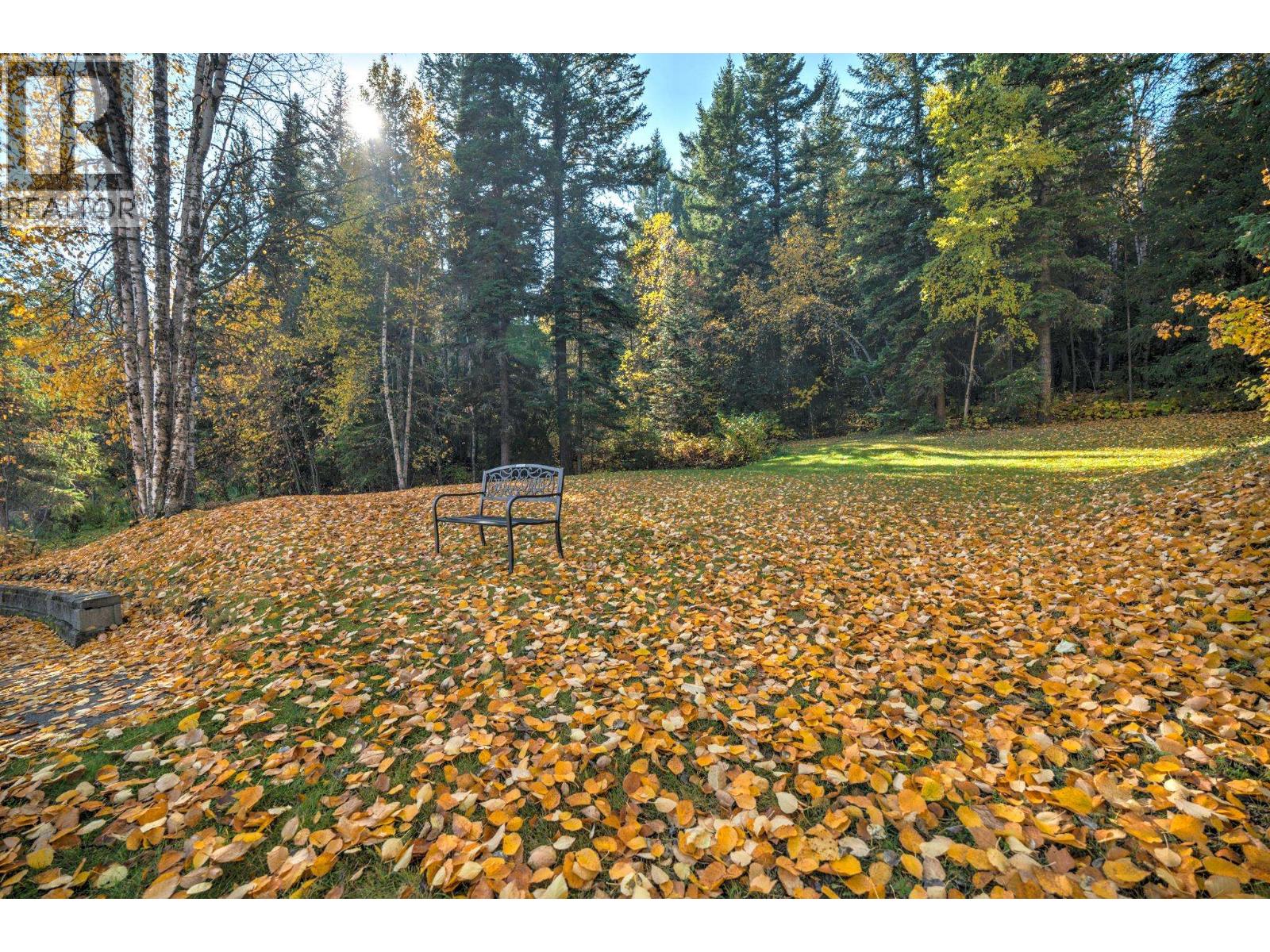 6373 Hillcrest Place, Prince George, British Columbia  V2N 5R1 - Photo 7 - R3067161