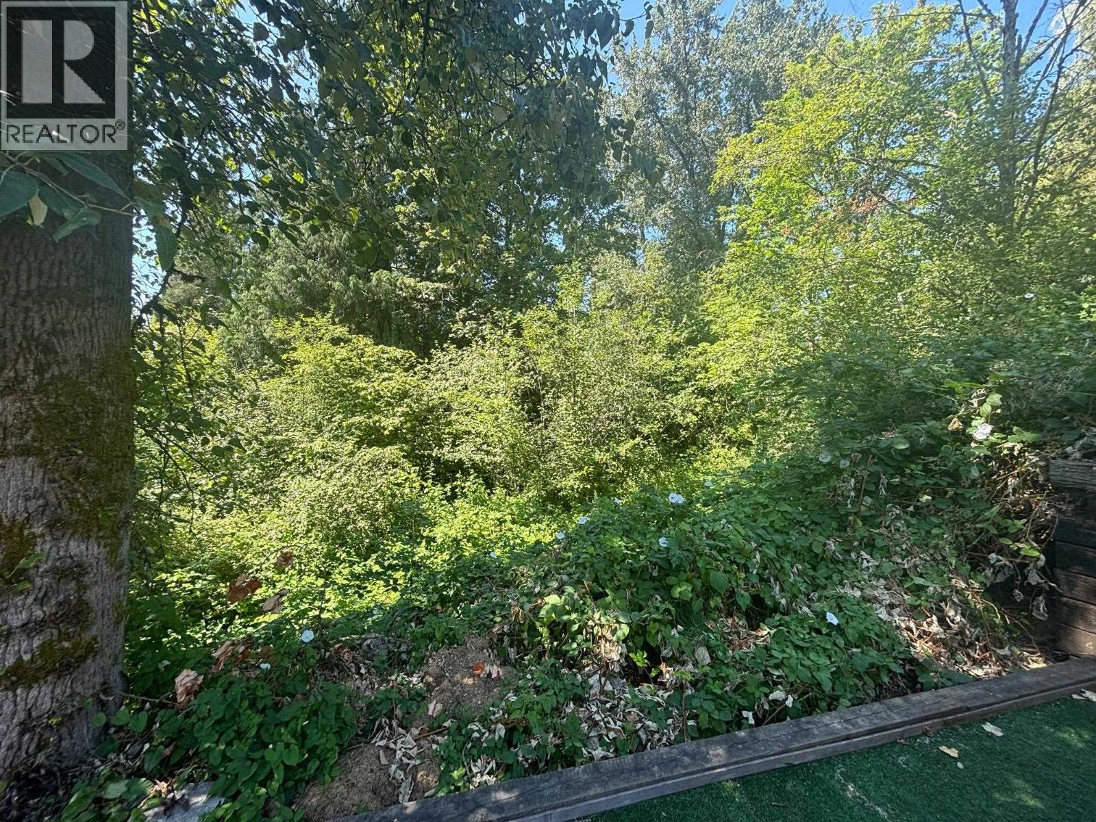 11279 Harrison Street, Maple Ridge, British Columbia V2X 9P6 - Photo 6 - R3067088