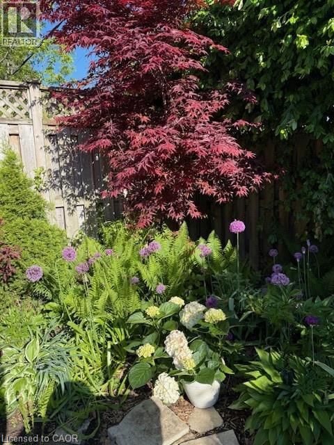 501 George Street, Woodstock, Ontario  N4S 4J3 - Photo 40 - 40786081