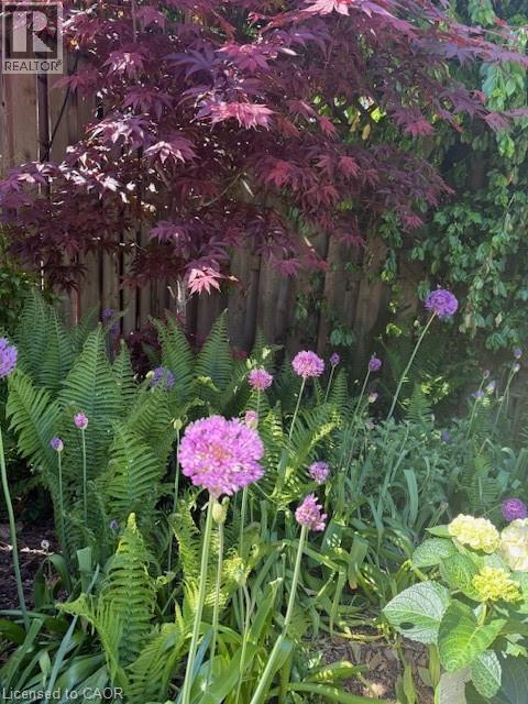 501 George Street, Woodstock, Ontario  N4S 4J3 - Photo 38 - 40786081