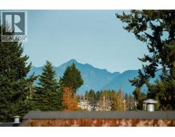 310 737 HAMILTON STREET