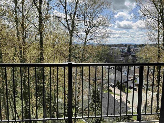 30914 Upper Maclure Road, Abbotsford, British Columbia  V2T 0A4 - Photo 12 - R3066230