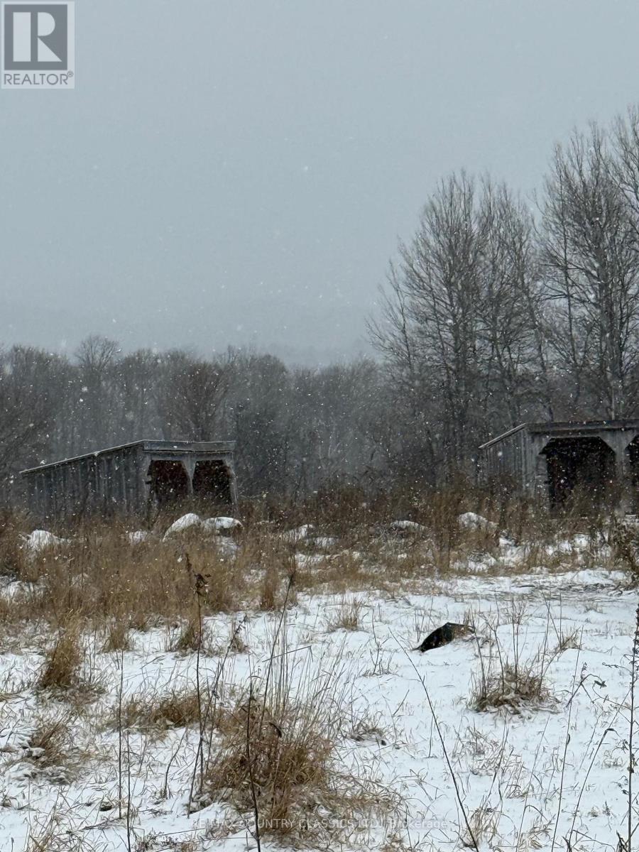 219 Comerford Road S, Brudenell, Ontario K0J 2E0 - Photo 6 - X12542862