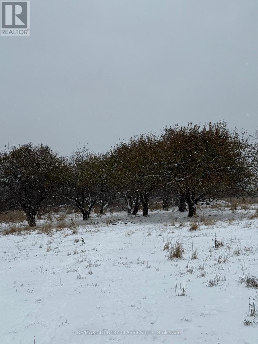 219 Comerford Road S, Brudenell, Ontario K0J 2E0 - Photo 7 - X12542862