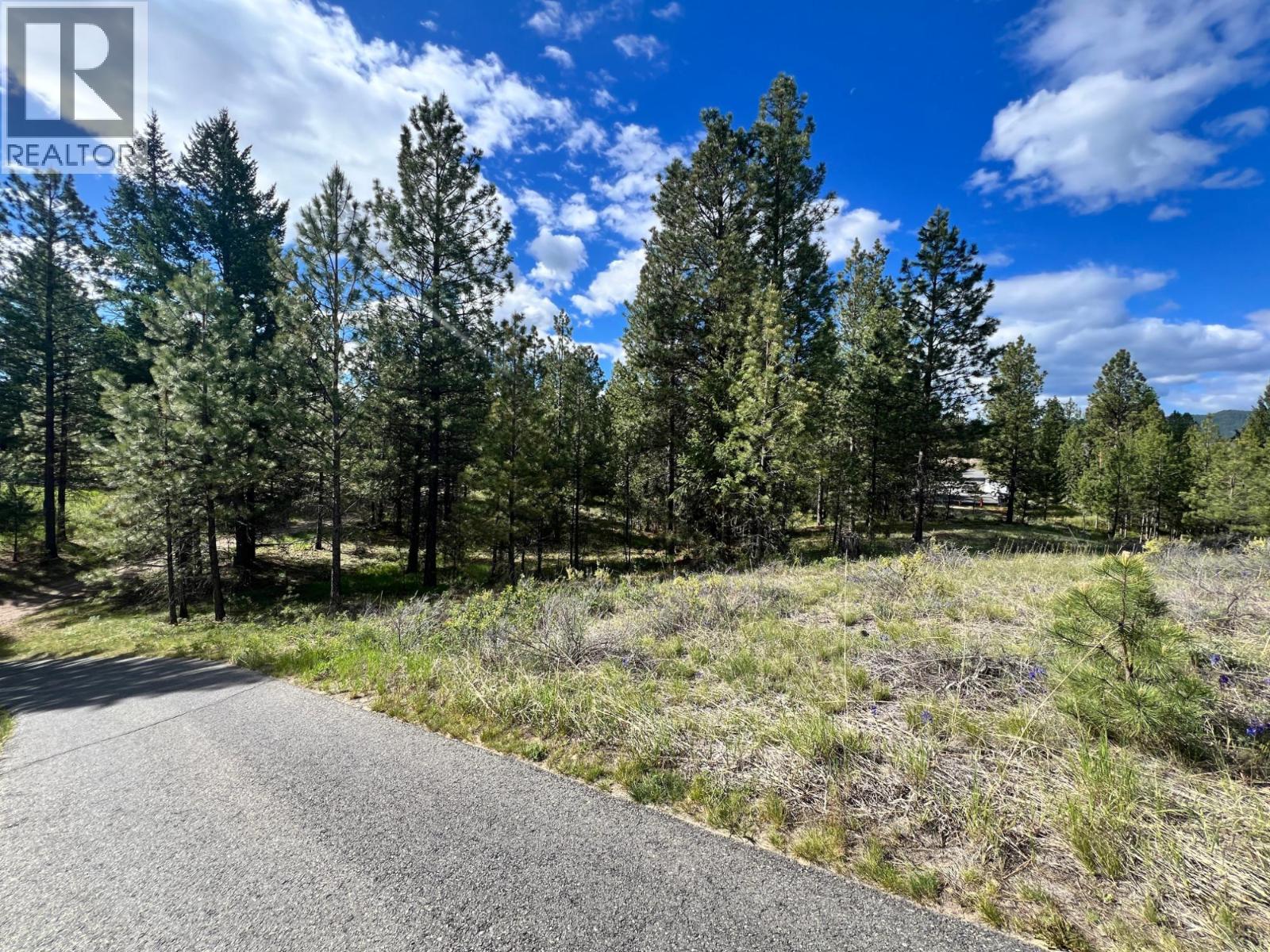 305 Corral Place, Cranbrook, British Columbia V1C 0C2 - Photo 6 - 10369104