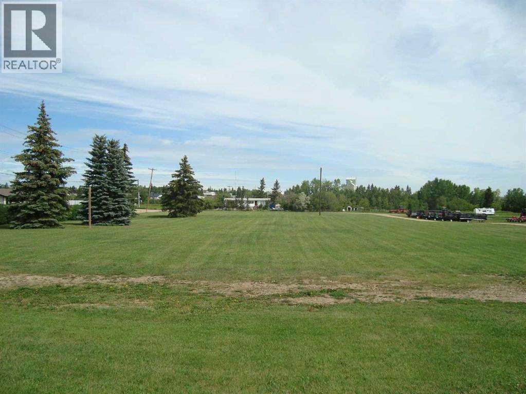 420 Pontmain Road, Trochu, Alberta  T0M 2C0 - Photo 5 - A2238368