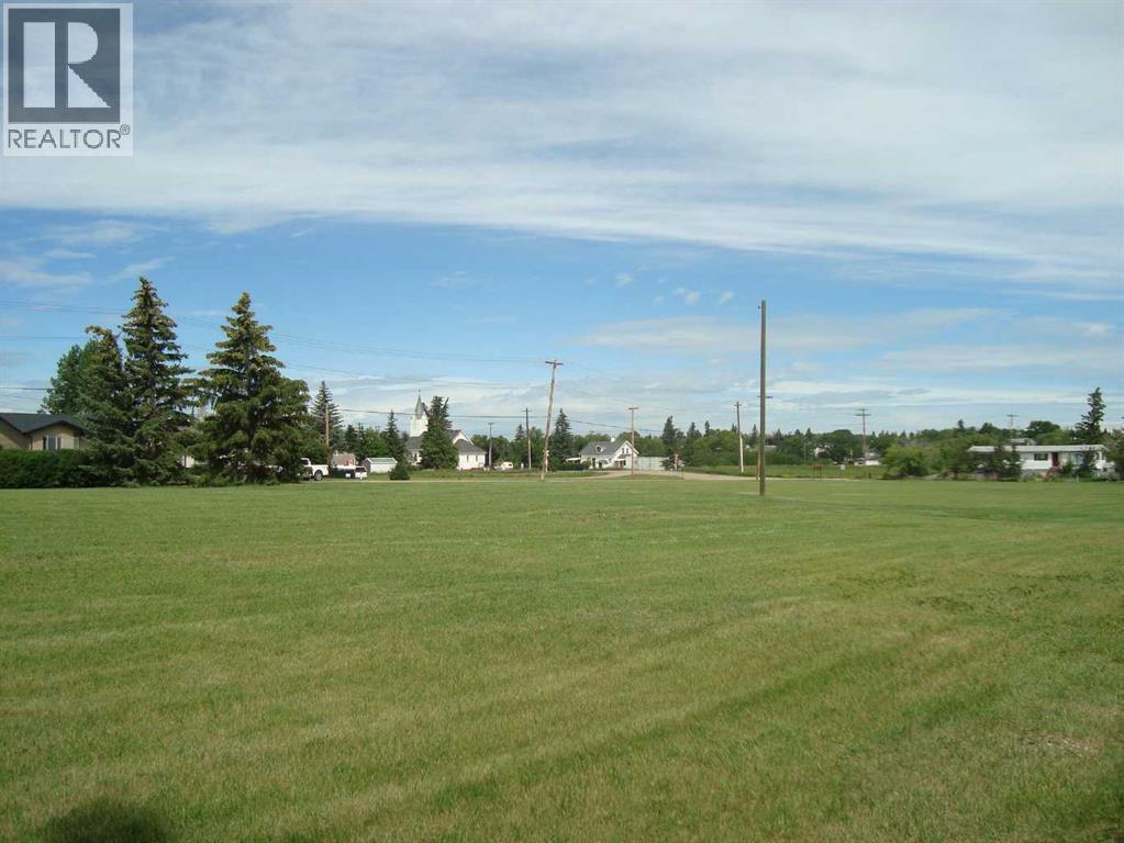 420 Pontmain Road, Trochu, Alberta  T0M 2C0 - Photo 8 - A2238368