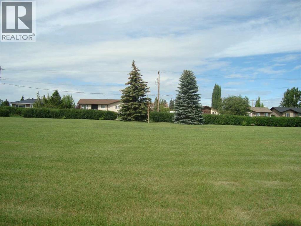 420 Pontmain Road, Trochu, Alberta  T0M 2C0 - Photo 7 - A2238368