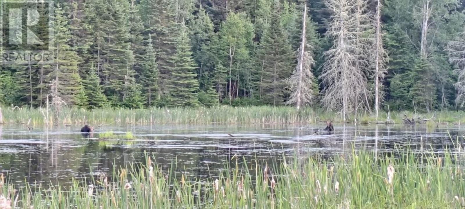 515 Portage Creek Rd, Ware Township, Ontario  P0T 1X0 - Photo 43 - TB253343