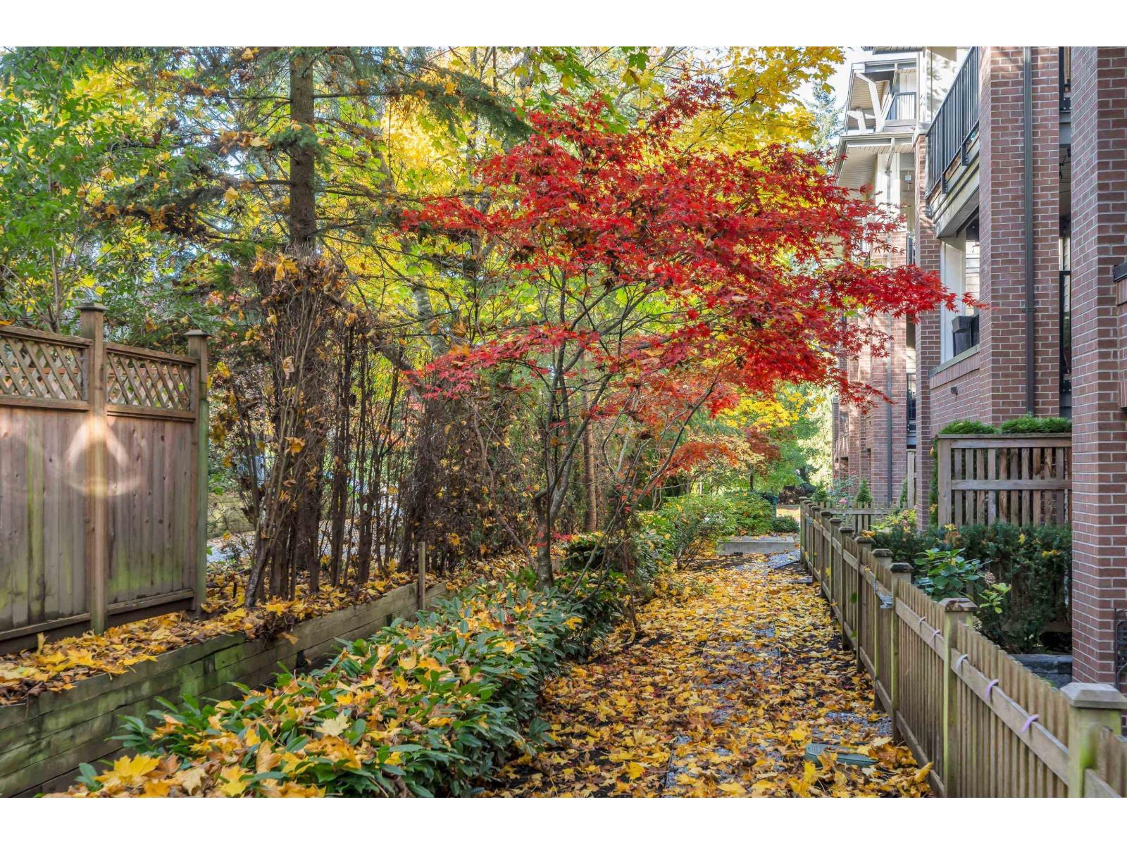 208 15188 29a Avenue, Surrey, British Columbia  V4P 1H1 - Photo 33 - R3066687