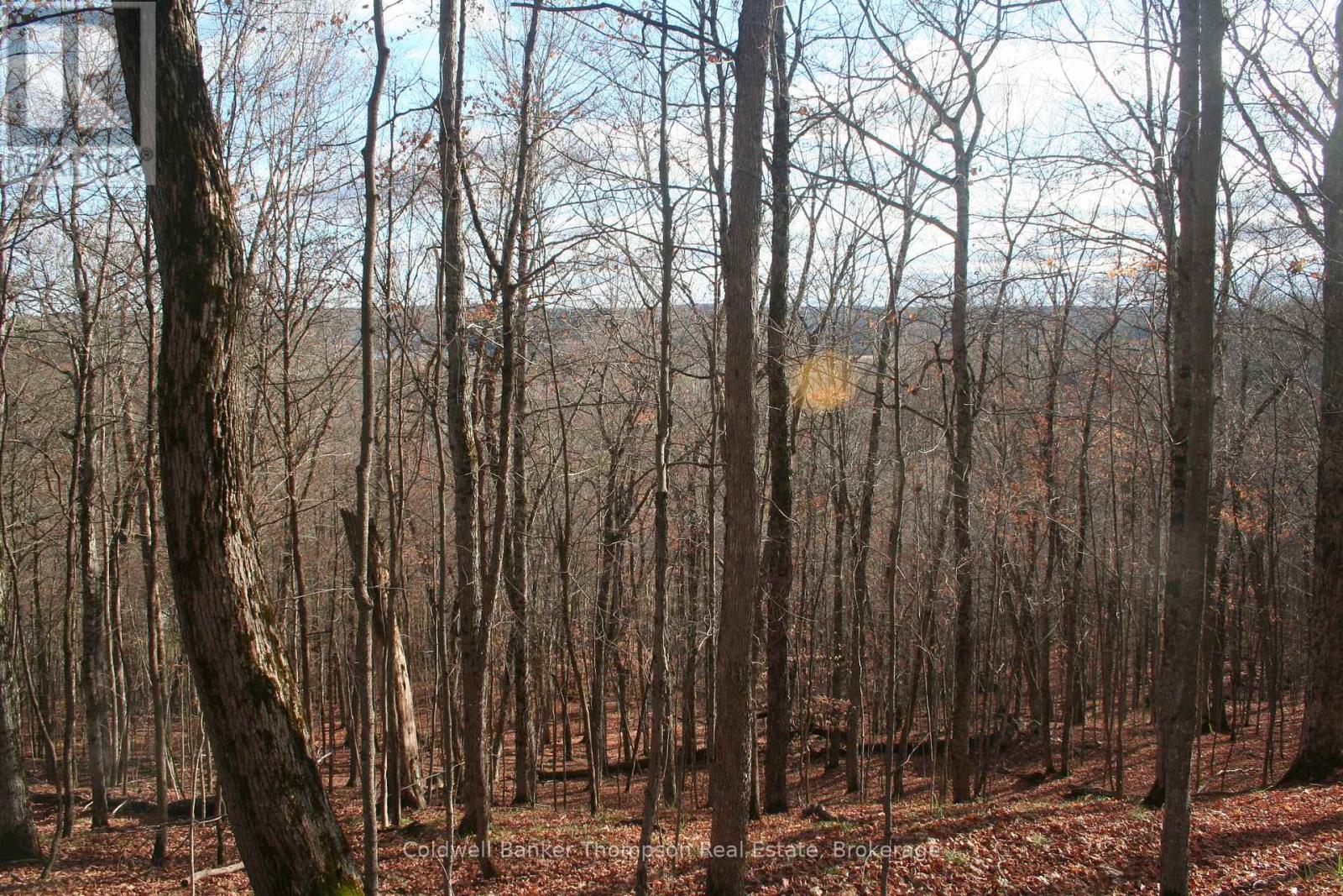 200 Mica Mine Road, Huntsville, Ontario P1H 1R3 - Photo 11 - X12543072