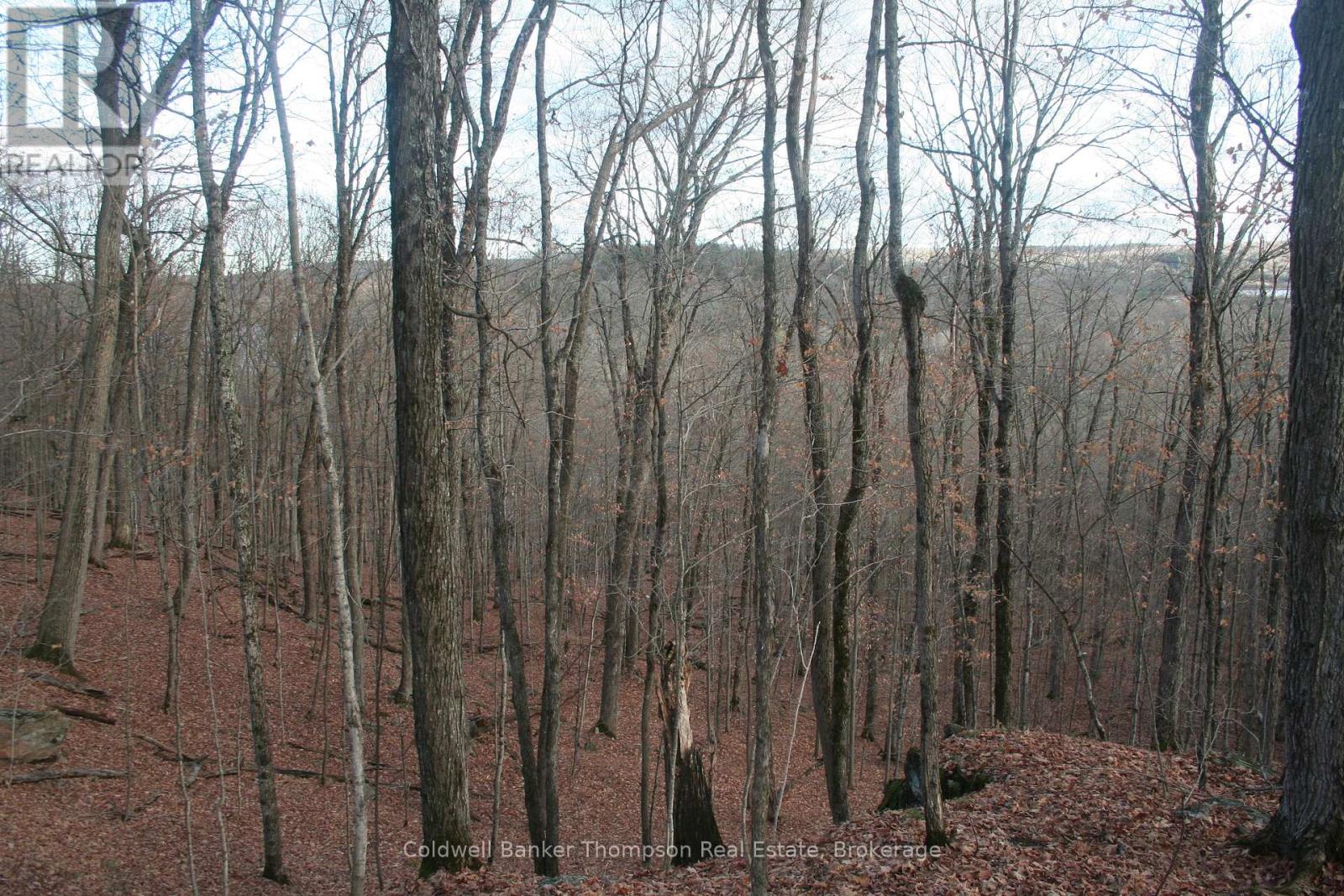 200 Mica Mine Road, Huntsville, Ontario P1H 1R3 - Photo 12 - X12543072