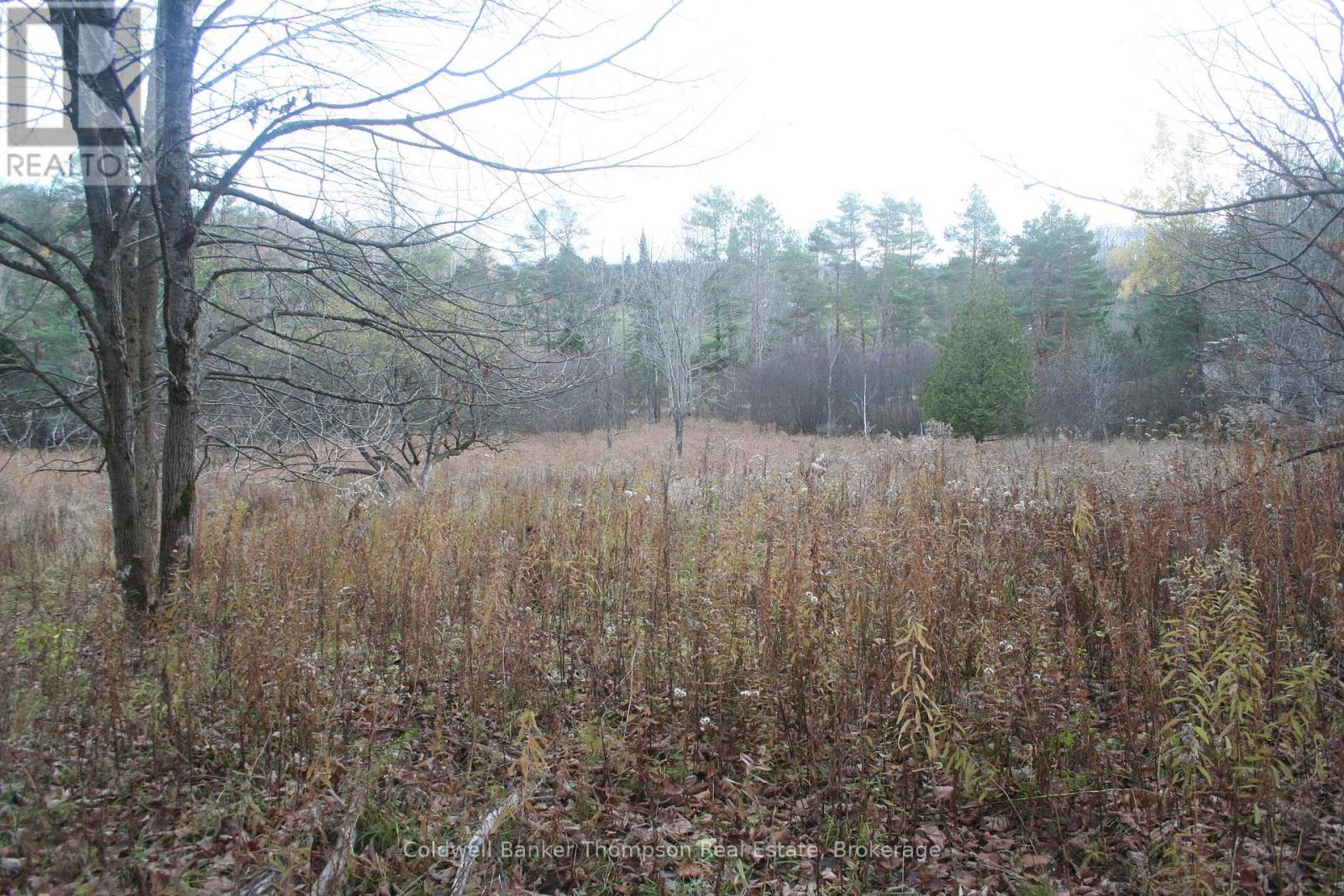 200 Mica Mine Road, Huntsville, Ontario P1H 1R3 - Photo 5 - X12543072