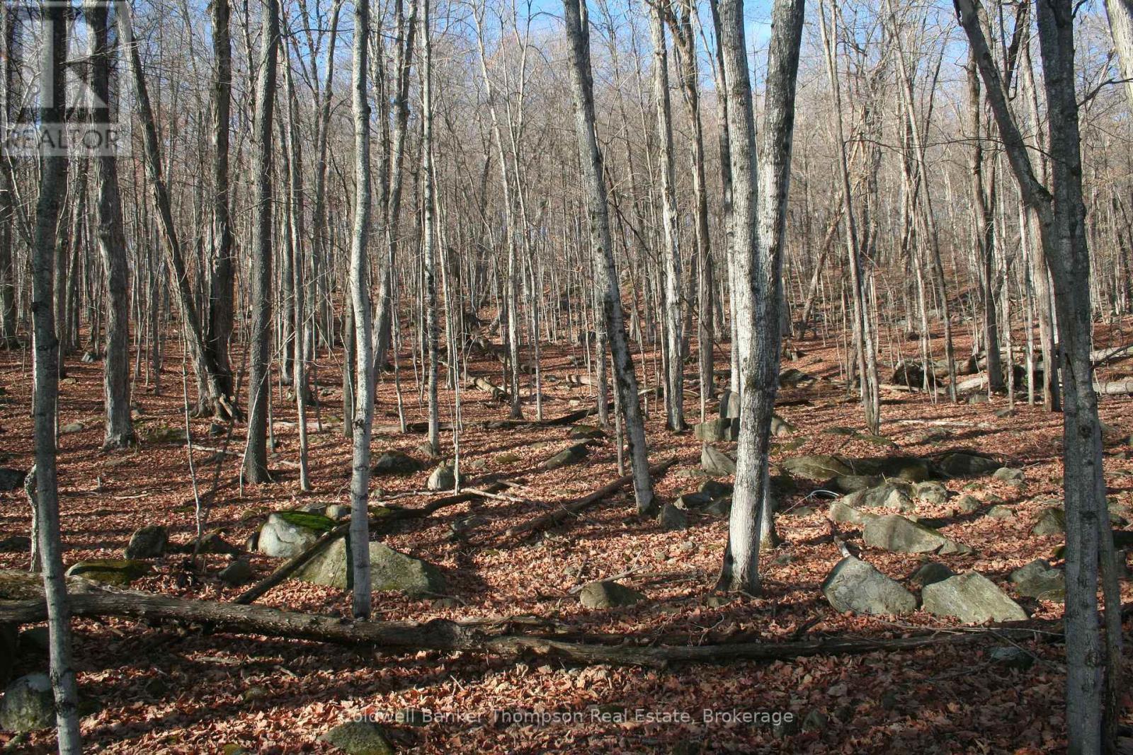 200 Mica Mine Road, Huntsville, Ontario P1H 1R3 - Photo 8 - X12543072