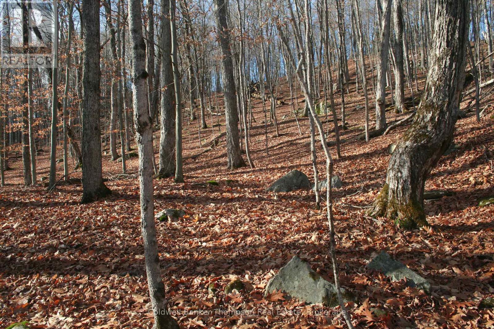 200 Mica Mine Road, Huntsville, Ontario P1H 1R3 - Photo 9 - X12543072