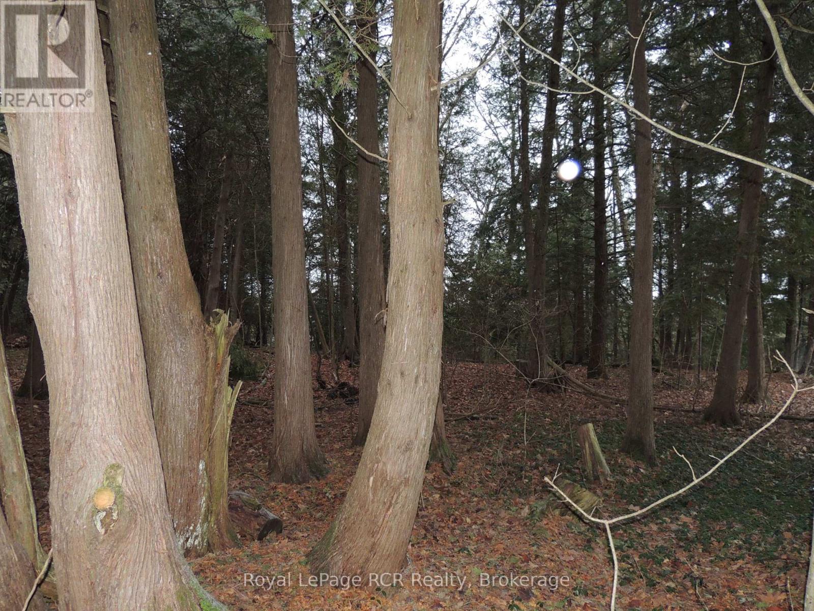 Third picture of PTLT 48 NORTH LINE