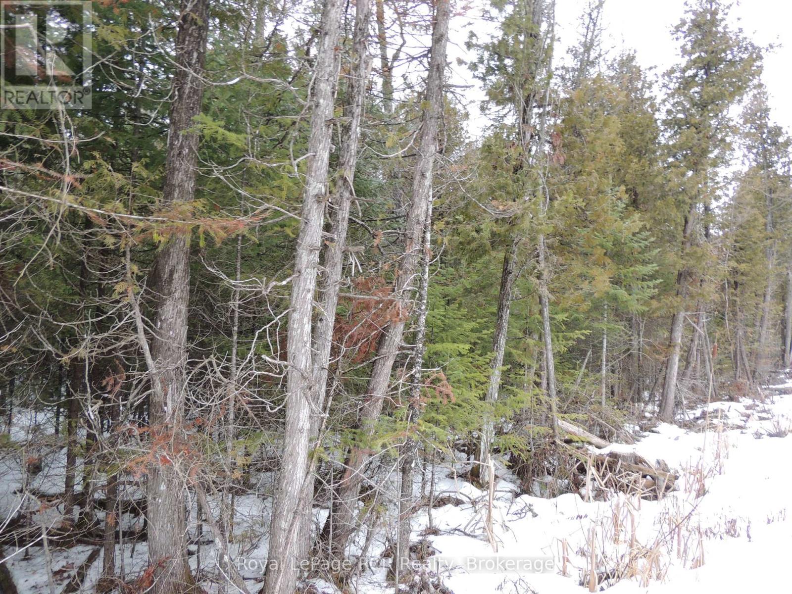 Third picture of PTLT 20 SOUTHGATE 57 SIDE ROAD