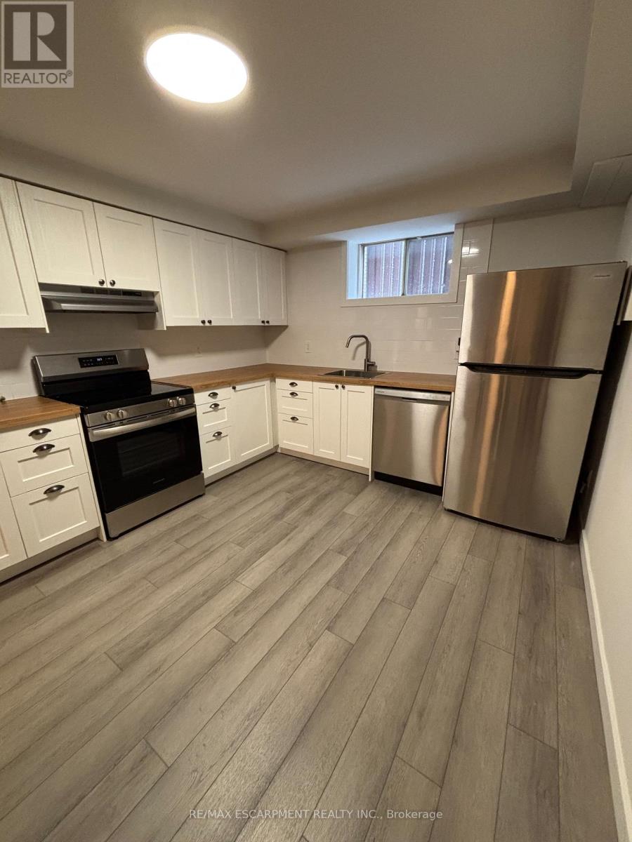 Lower - 19 Pavarotti Court, Hamilton, Ontario  L8G 4P8 - Photo 4 - X12474893