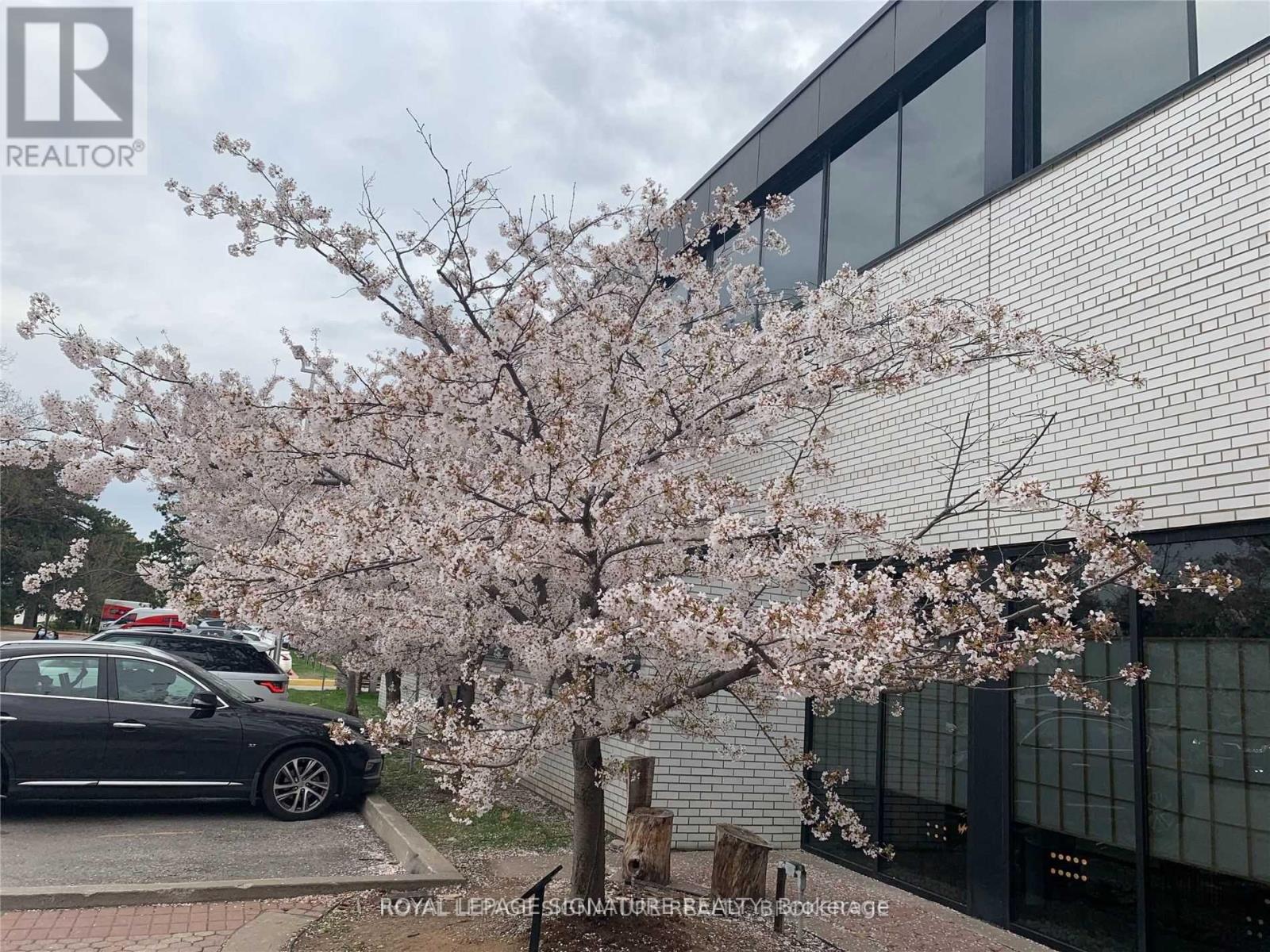 269 - 6 Sakura Way, Toronto, Ontario  M3C 1Z5 - Photo 11 - C12454493