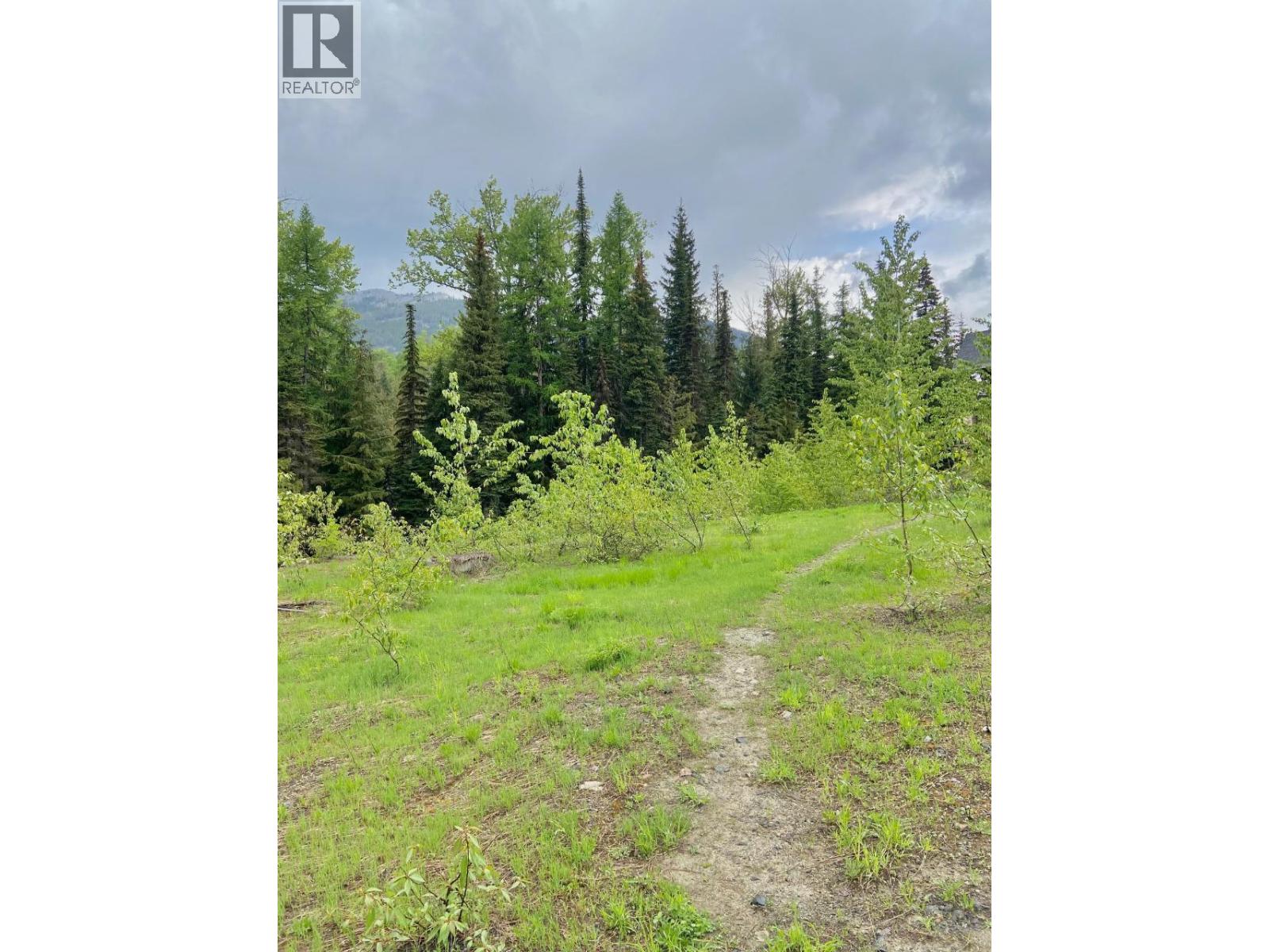 Lot 2 Granite View Road, Rossland, British Columbia V0G 1Y0 - Photo 24 - 10362019