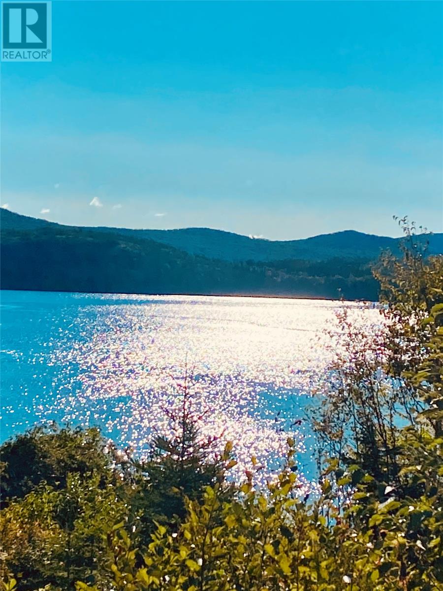 3 Robert Road, South Brook, Newfoundland & Labrador  A0J 0A3 - Photo 22 - 1290199