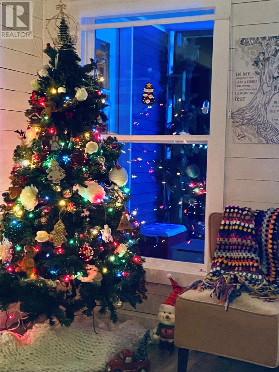 3 Robert Road, South Brook, Newfoundland & Labrador  A0J 0A3 - Photo 20 - 1290199