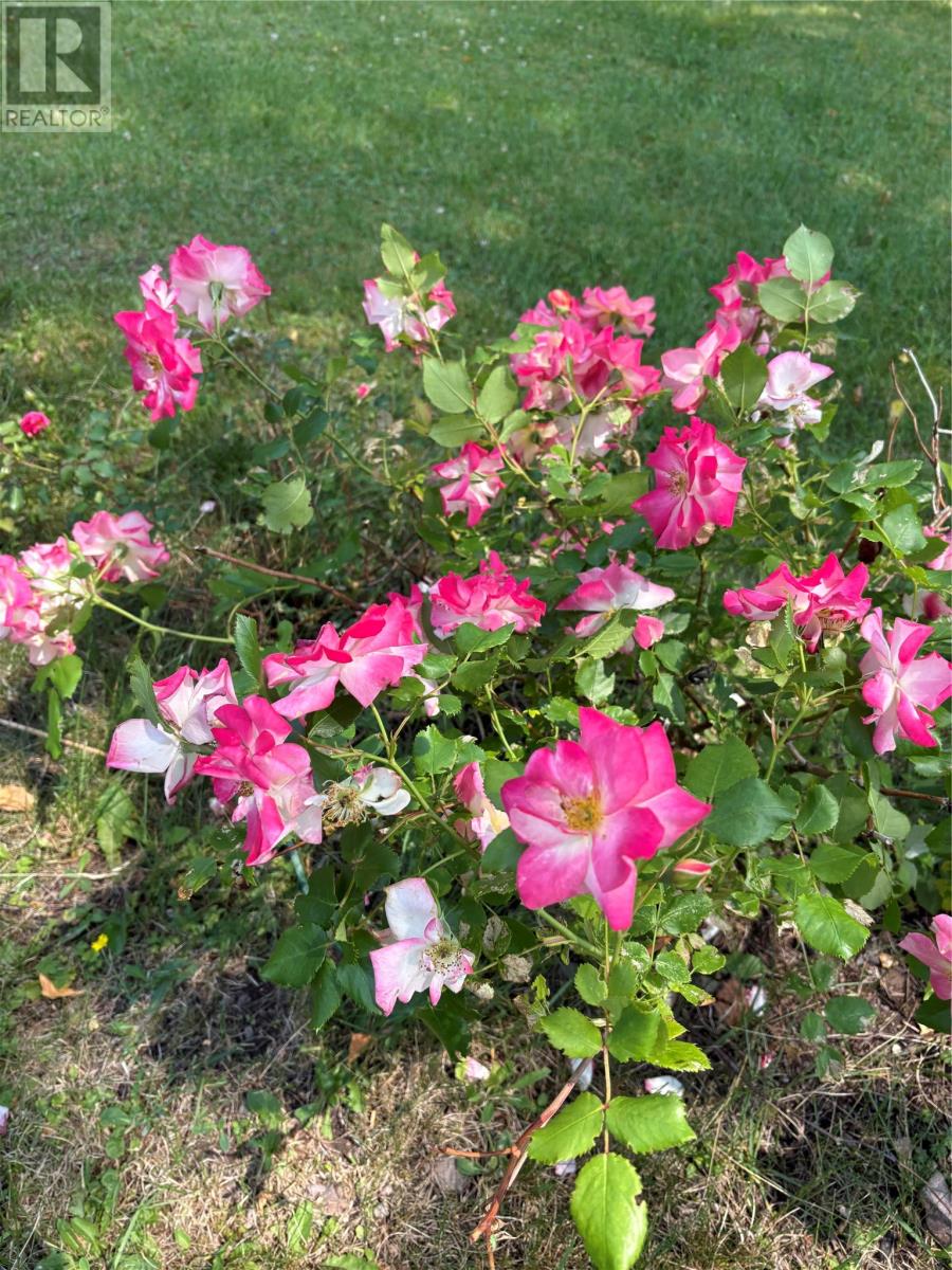 3 Robert Road, South Brook, Newfoundland & Labrador  A0J 0A3 - Photo 31 - 1290199