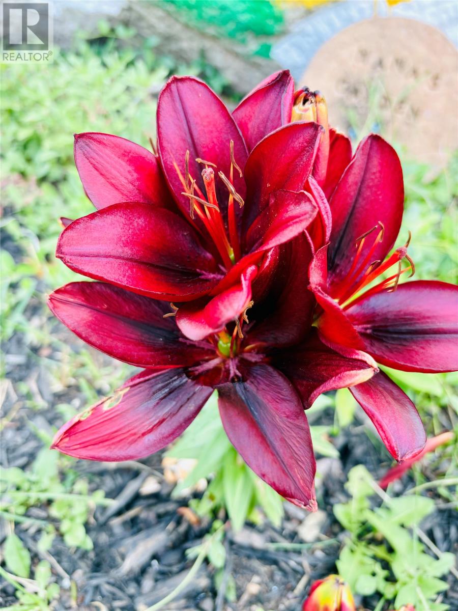 3 Robert Road, South Brook, Newfoundland & Labrador  A0J 0A3 - Photo 32 - 1290199