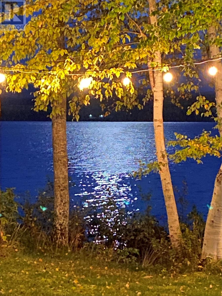 3 Robert Road, South Brook, Newfoundland & Labrador  A0J 0A3 - Photo 36 - 1290199