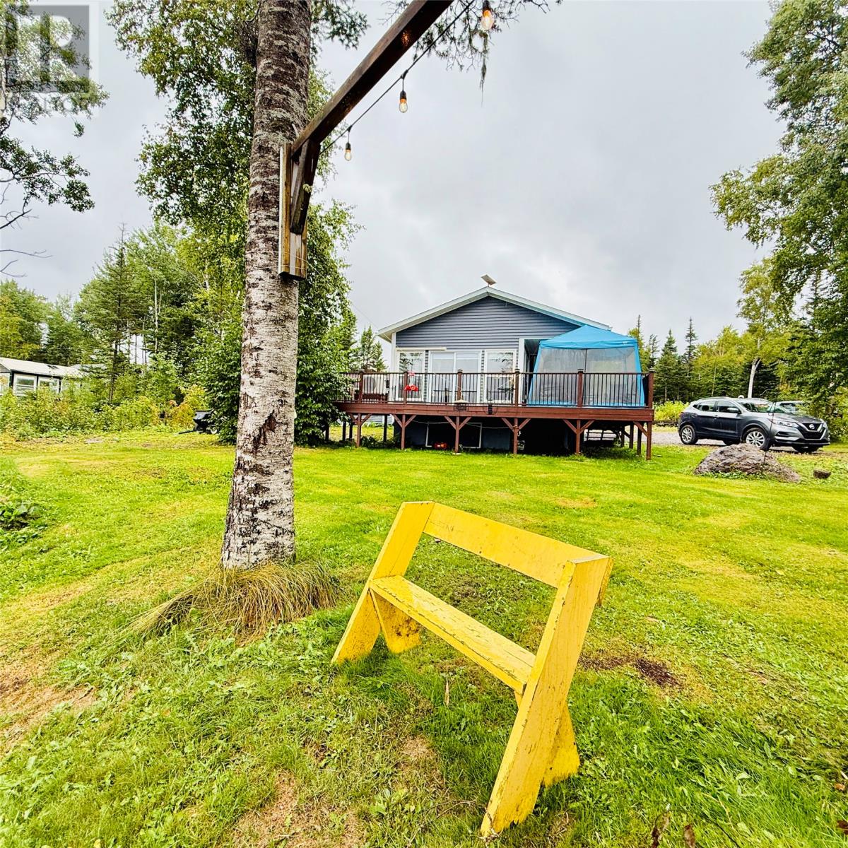 3 Robert Road, South Brook, Newfoundland & Labrador  A0J 0A3 - Photo 6 - 1290199