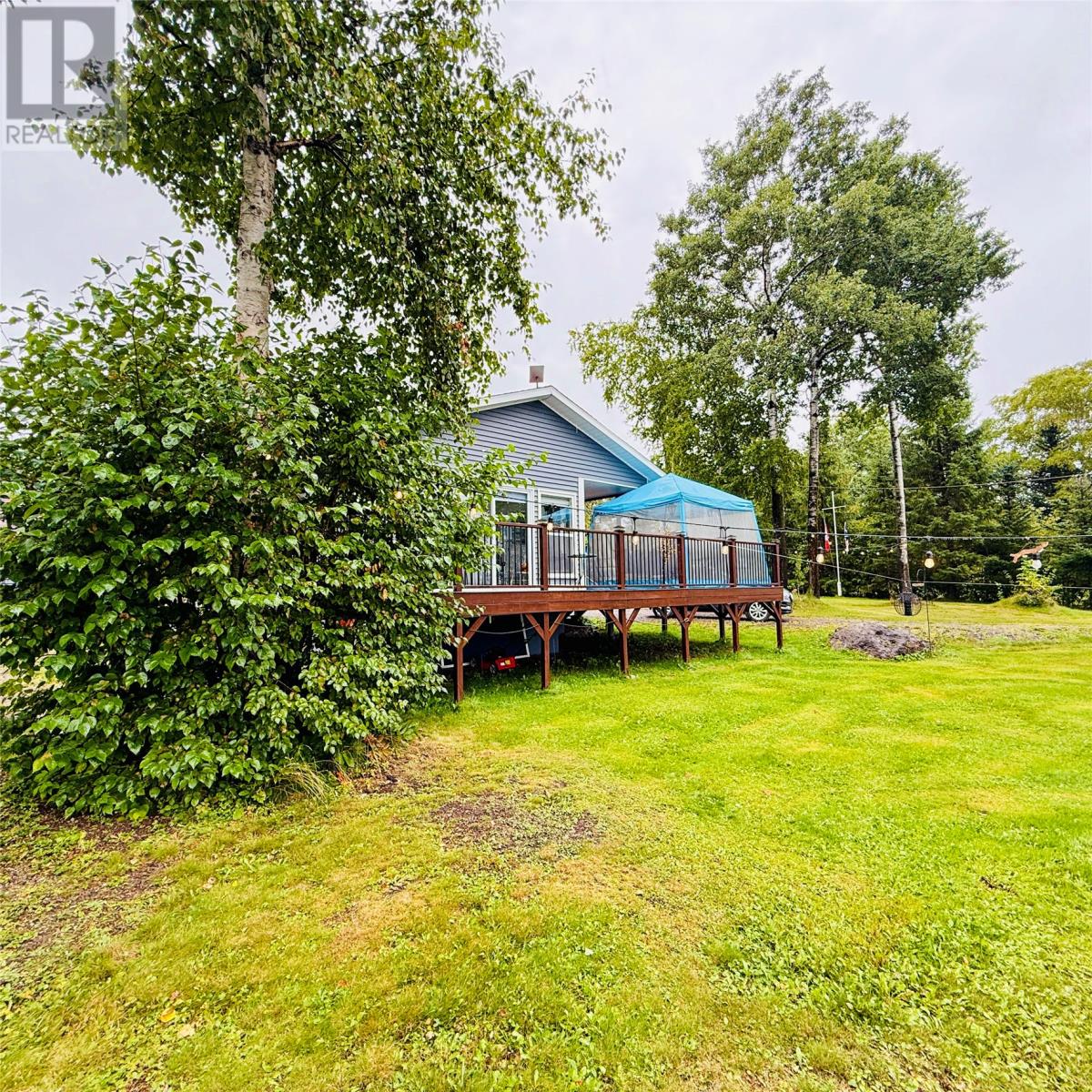 3 Robert Road, South Brook, Newfoundland & Labrador  A0J 0A3 - Photo 5 - 1290199