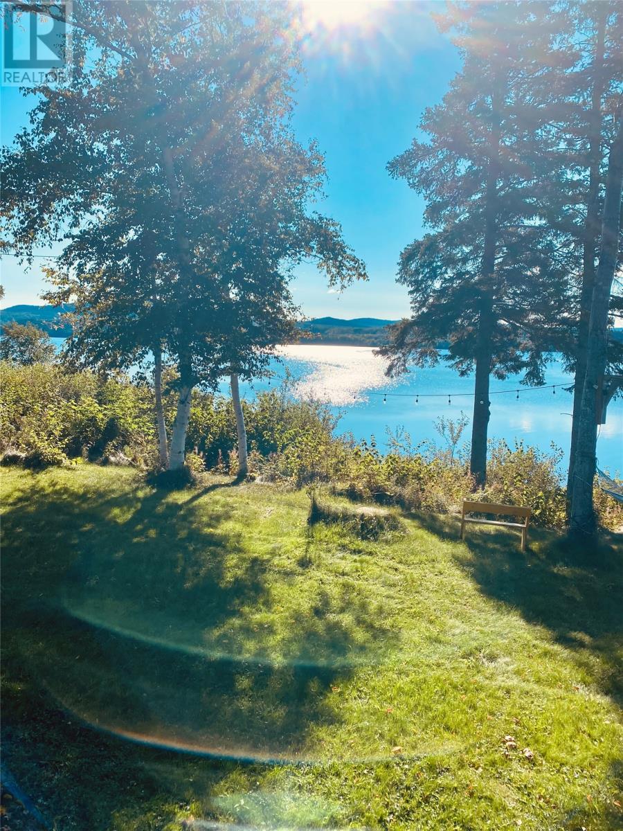 3 Robert Road, South Brook, Newfoundland & Labrador  A0J 0A3 - Photo 4 - 1290199