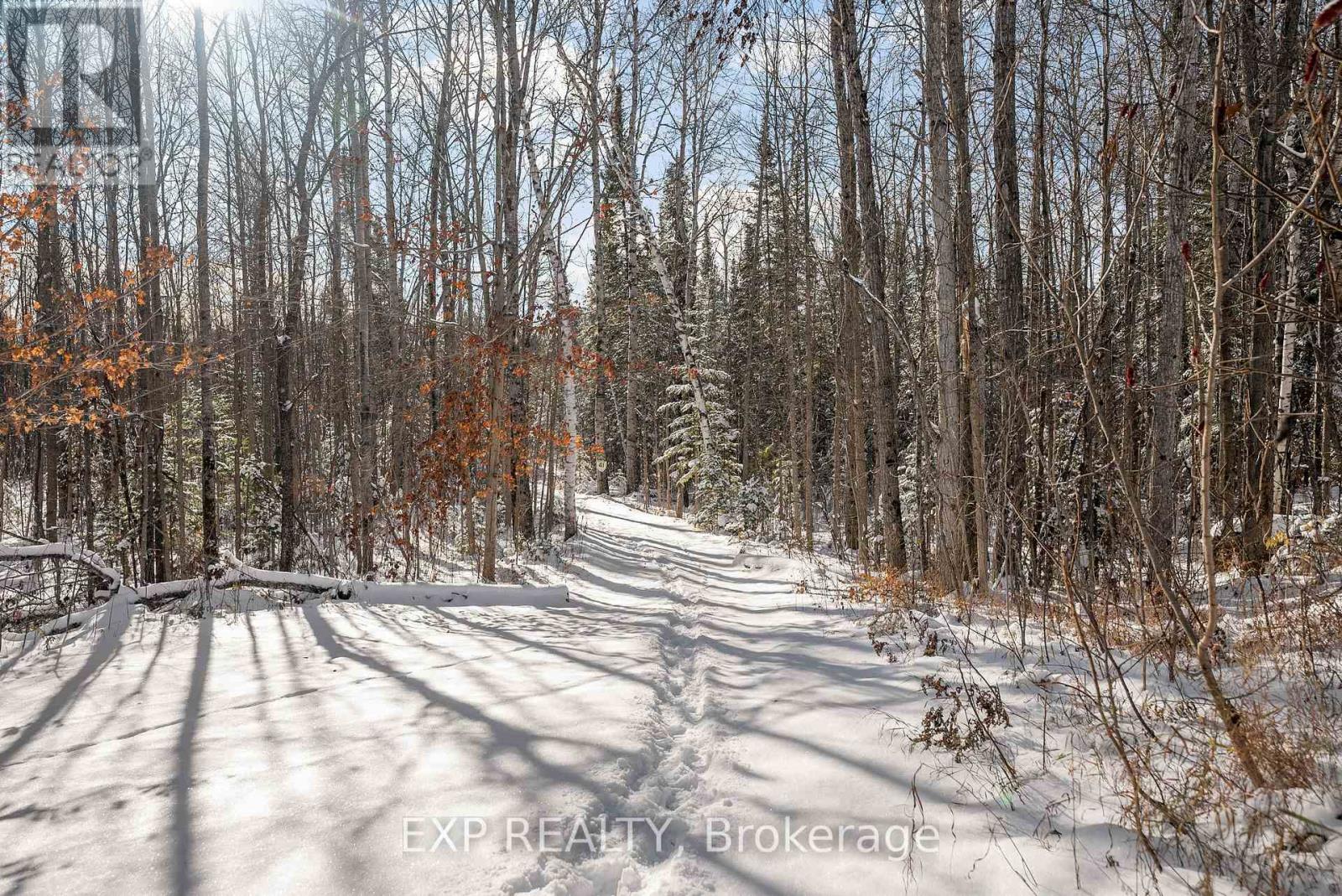 31343 Highway 41 Highway, Bonnechere Valley, Ontario K0J 1T0 - Photo 41 - X12543280