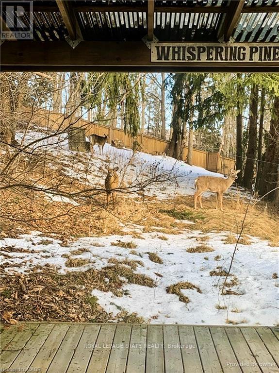 6 Begue Street, Hamilton, Ontario  L9H 2N2 - Photo 37 - X12541986