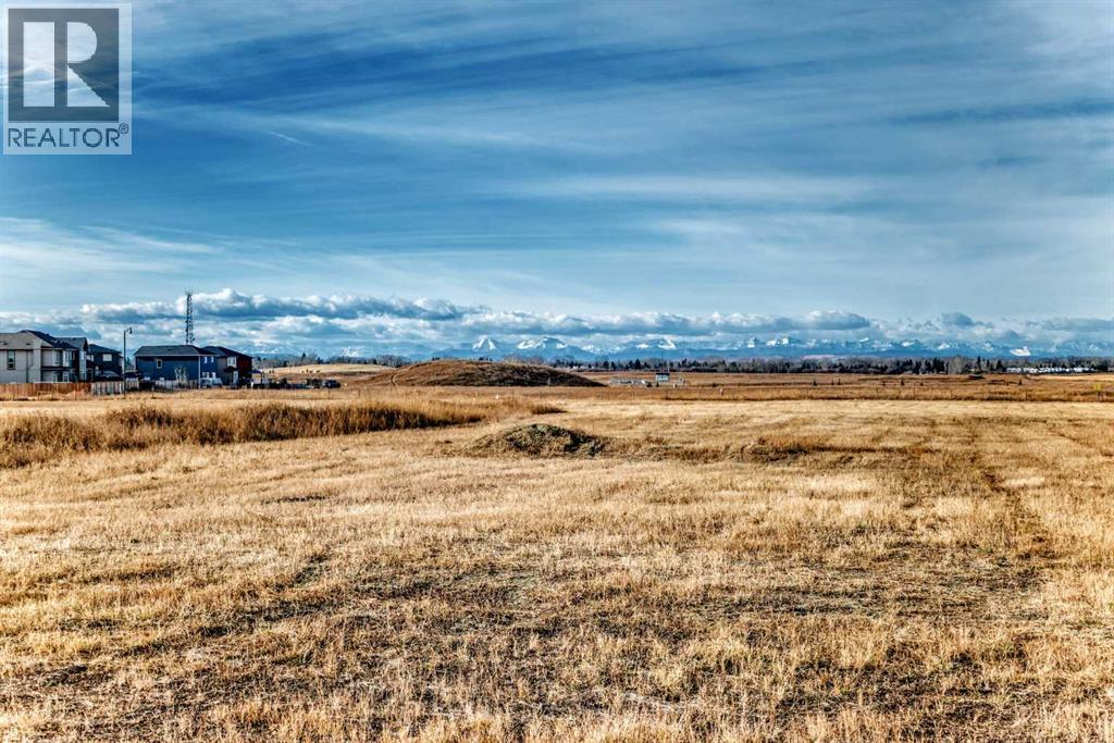 415 Sunrise Terrace Ne, High River, Alberta  T1V 0C4 - Photo 45 - A2270256