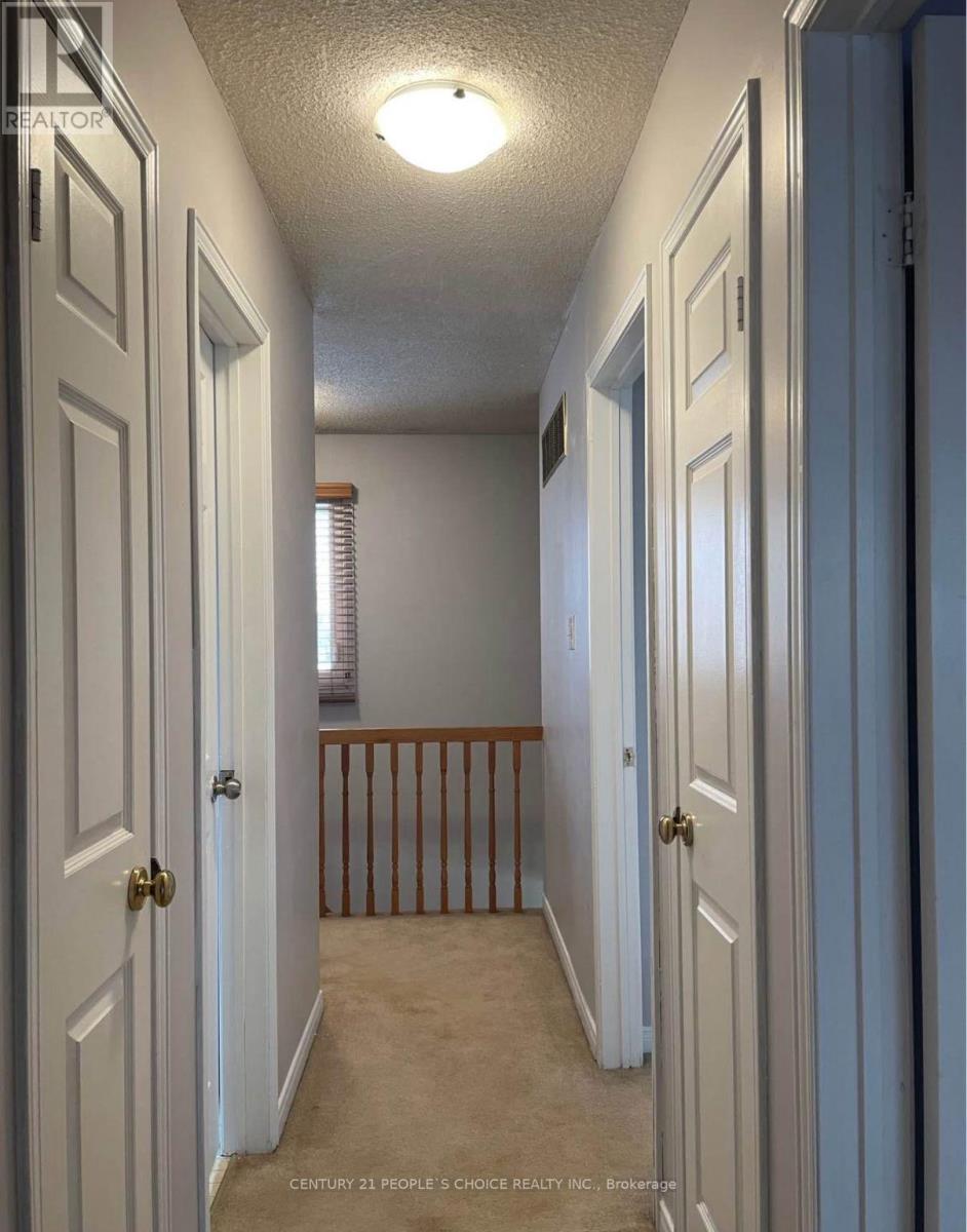 Upper Unit - 3 Blossom Avenue, Brampton, Ontario  L6X 2W2 - Photo 10 - W12543306