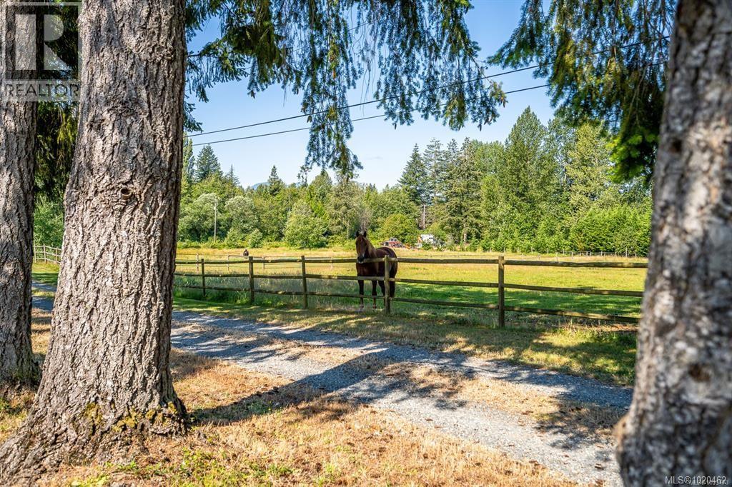 6392 Island Hwy N, Courtenay, British Columbia  V9J 1T7 - Photo 13 - 1020462