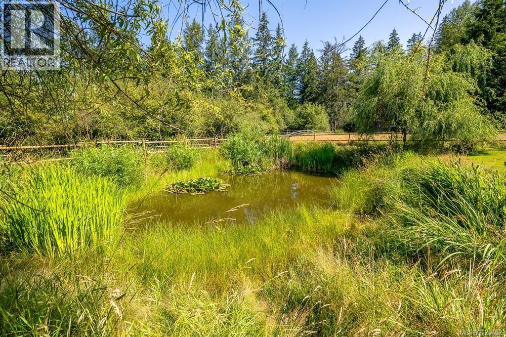 6392 Island Hwy N, Courtenay, British Columbia  V9J 1T7 - Photo 31 - 1020462