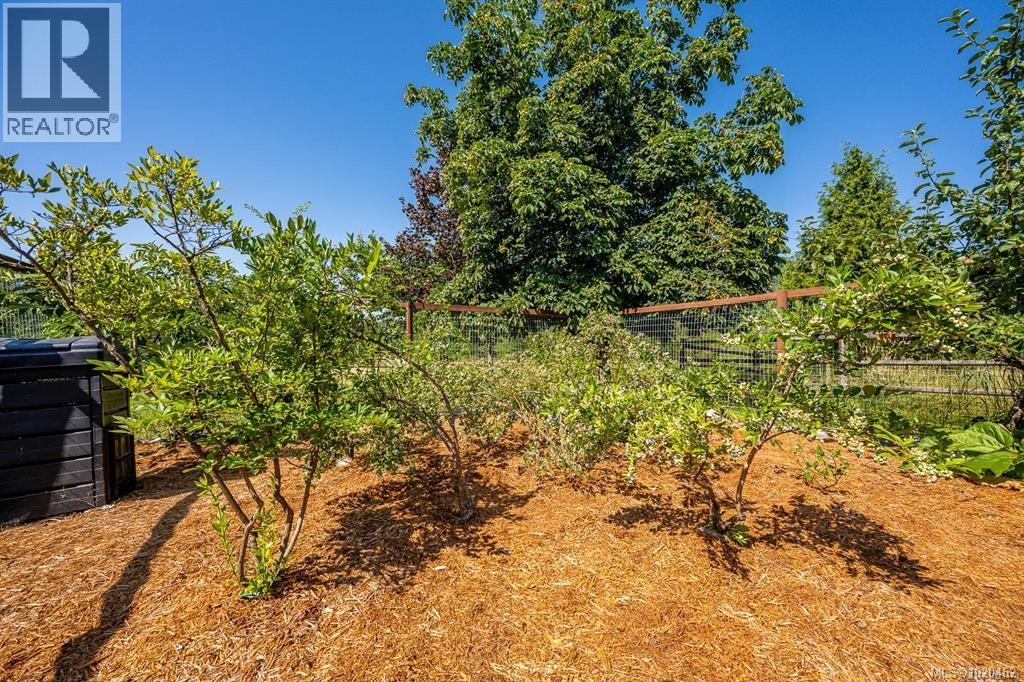 6392 Island Hwy N, Courtenay, British Columbia  V9J 1T7 - Photo 91 - 1020462