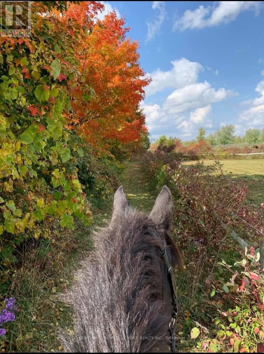 BARN AND ARENA - 18743 ST ANDREWS ROAD N, Caledon, Ontario
