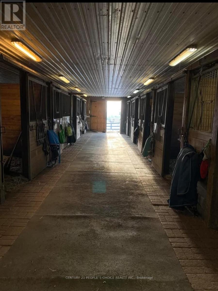 Barn And Arena - 18743 St Andrews Road N, Caledon, Ontario  L7K 2E3 - Photo 10 - W12543378