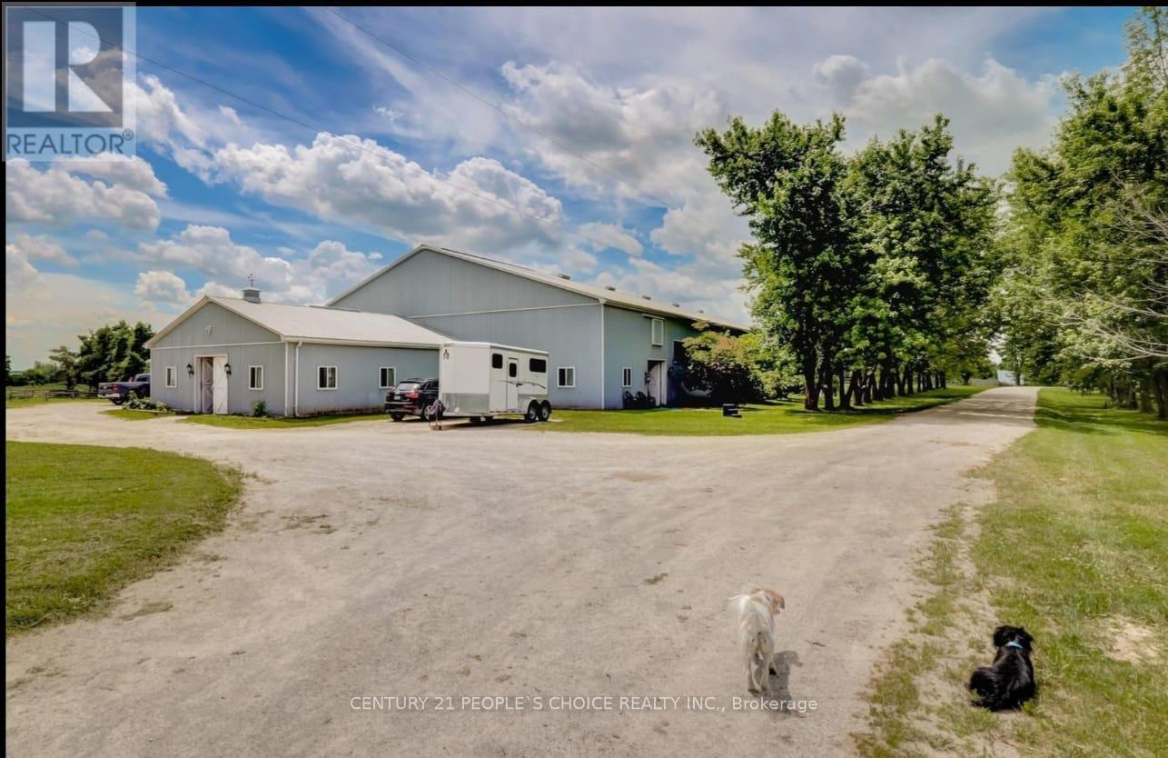 Barn And Arena - 18743 St Andrews Road N, Caledon, Ontario  L7K 2E3 - Photo 12 - W12543378