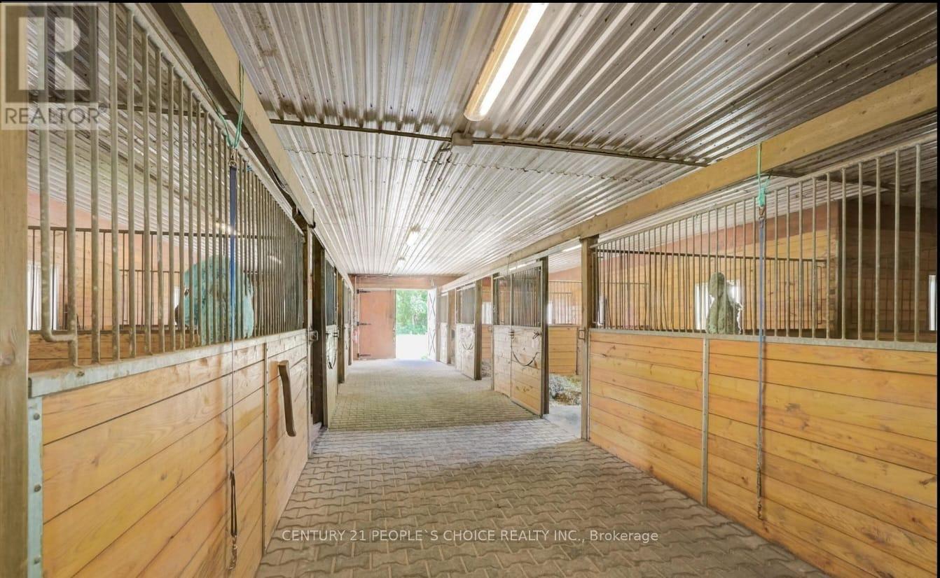 Barn And Arena - 18743 St Andrews Road N, Caledon, Ontario  L7K 2E3 - Photo 14 - W12543378