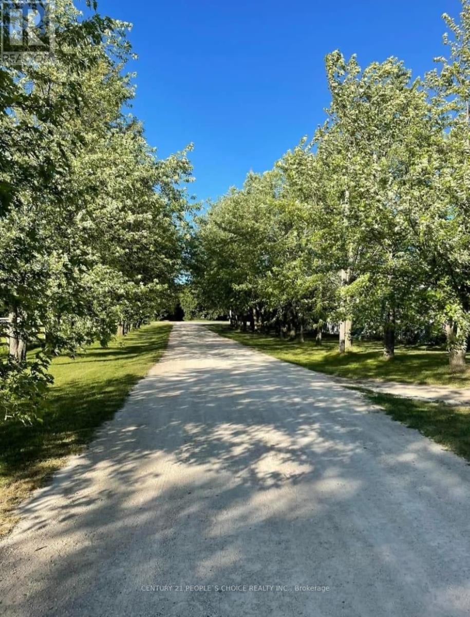 Barn And Arena - 18743 St Andrews Road N, Caledon, Ontario  L7K 2E3 - Photo 3 - W12543378