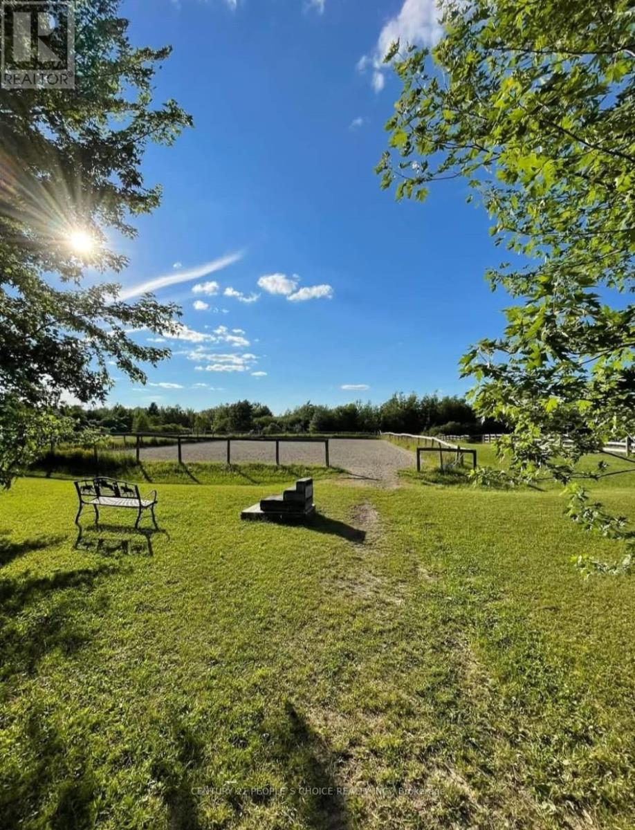 Barn And Arena - 18743 St Andrews Road N, Caledon, Ontario  L7K 2E3 - Photo 4 - W12543378
