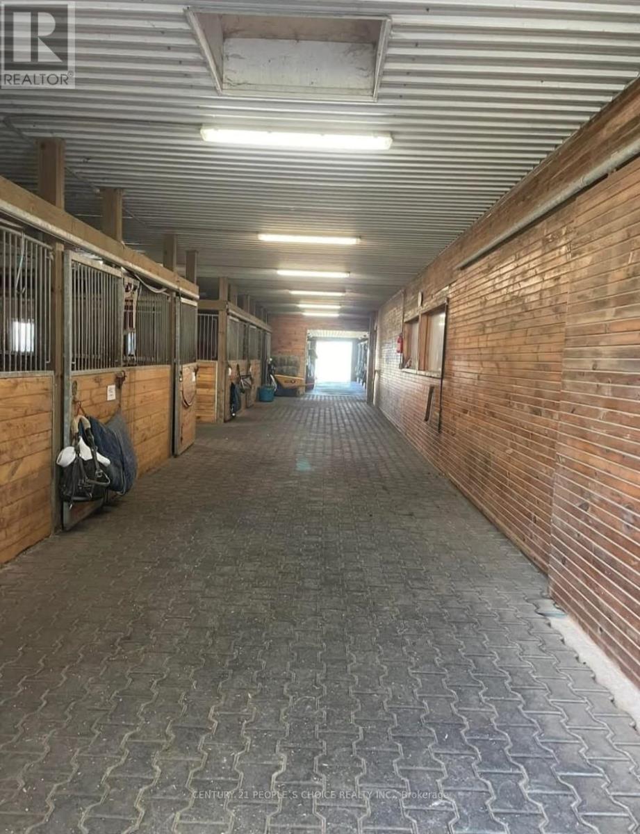 Barn And Arena - 18743 St Andrews Road N, Caledon, Ontario  L7K 2E3 - Photo 5 - W12543378