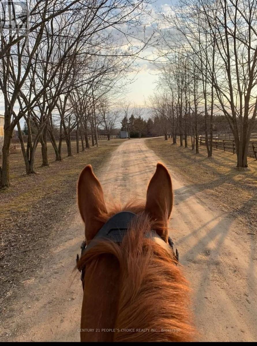 Barn And Arena - 18743 St Andrews Road N, Caledon, Ontario  L7K 2E3 - Photo 8 - W12543378